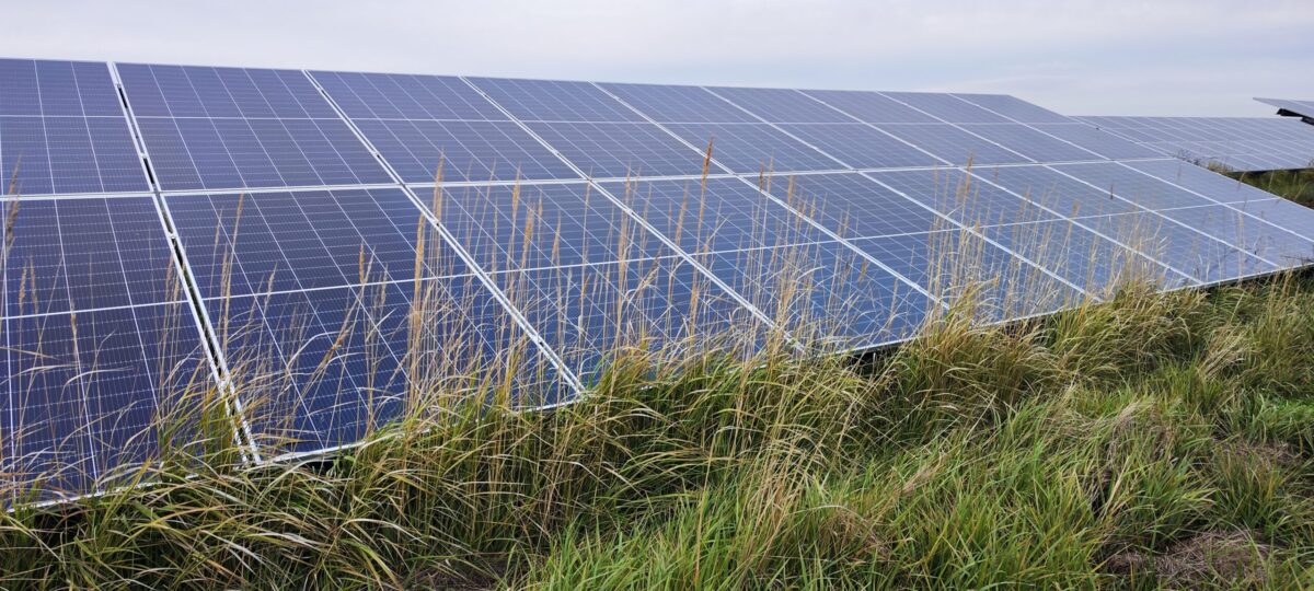 154 mw_before1 154 mw_before1