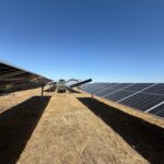 Whatsapp Image 2026 03 19 At 12.59.49 2