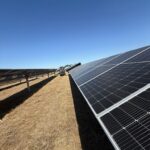 Whatsapp Image 2026 03 19 At 12.59.49 5