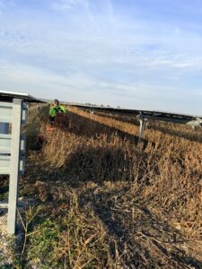 Whatsapp Image 2026 03 19 At 12.59.52