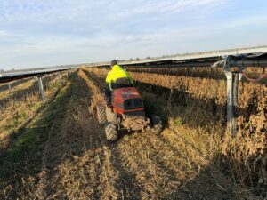 Whatsapp Image 2026 03 19 At 12.59.52 4