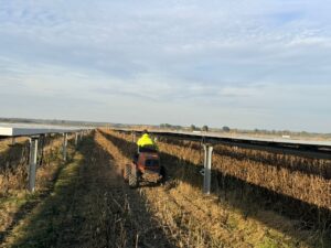 Whatsapp Image 2026 03 19 At 12.59.53 1