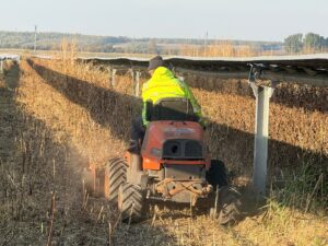 Whatsapp Image 2026 03 19 At 12.59.53 3