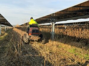 Whatsapp Image 2026 03 19 At 12.59.53