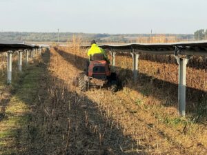 Whatsapp Image 2026 03 19 At 12.59.54 1