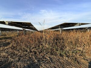 Whatsapp Image 2026 03 19 At 12.59.54 3