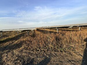 Whatsapp Image 2026 03 19 At 12.59.54