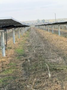 Whatsapp Image 2026 03 19 At 12.59.54 5