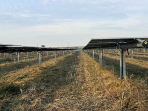 Whatsapp Image 2026 03 19 At 12.59.55